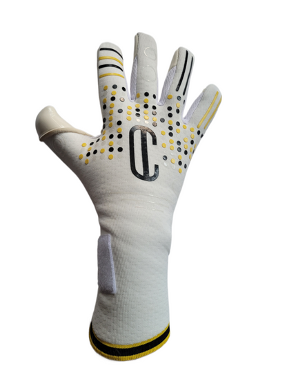 bakhåndflaten til en profesjonell keeperhanske