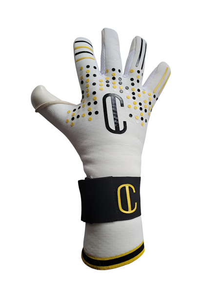 bakhåndflaten til en profesjonell keeperhanske